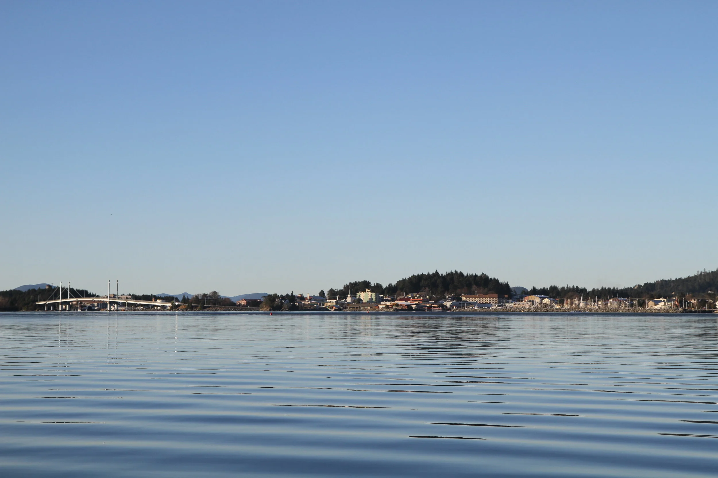 IMG_9529.JPG