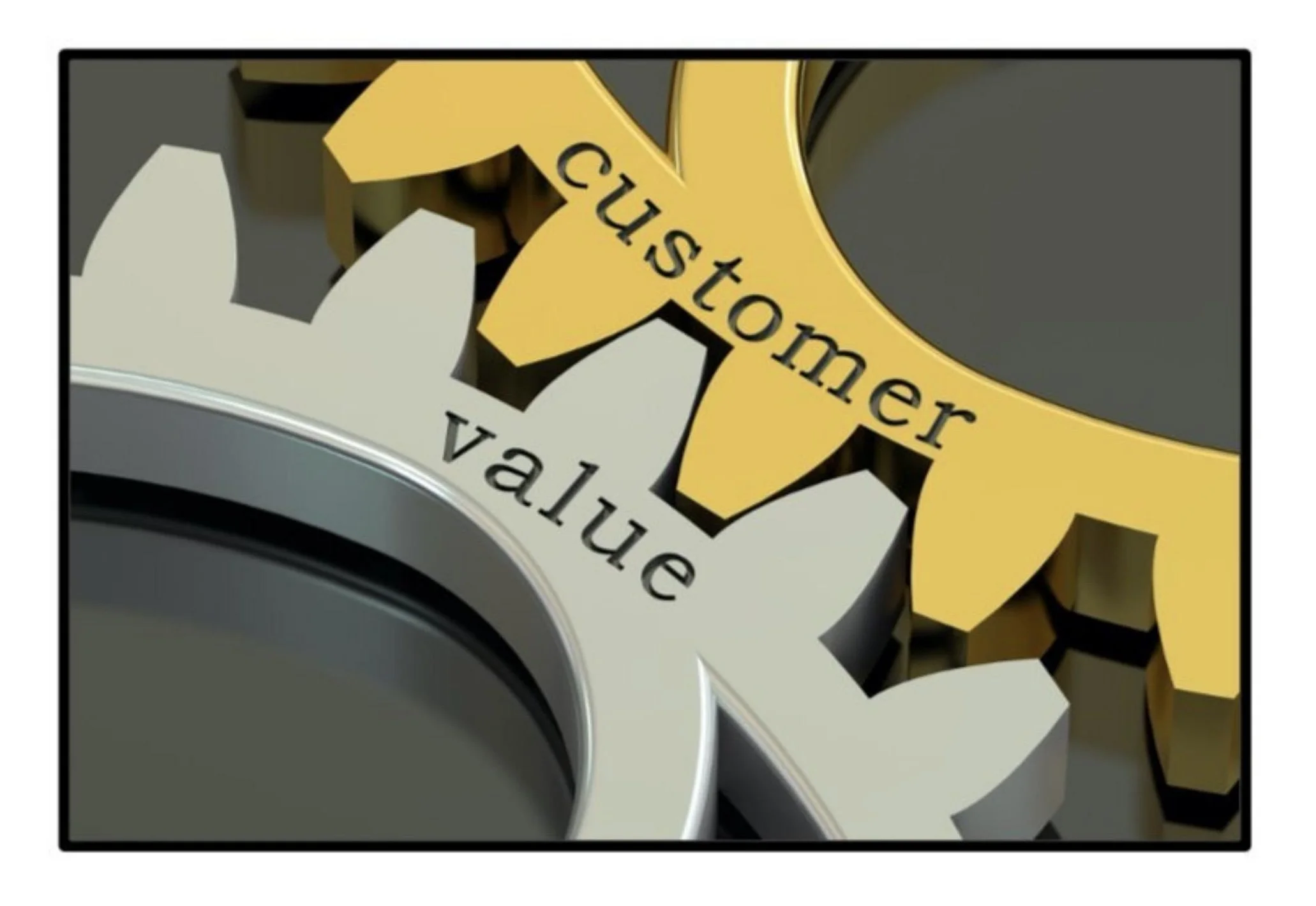 The Customer Defines Value