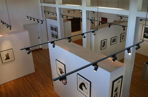 Our Gallery