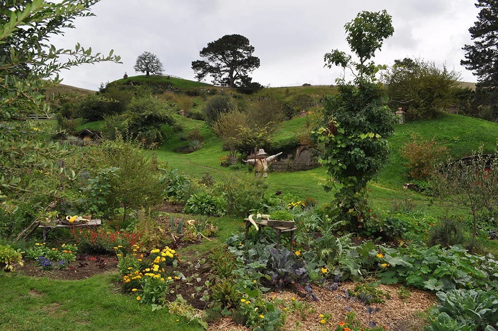 NewZealand-HobbitHillMovieSet.jpg