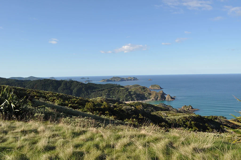 NewZealand-OutdoorViewfromKauriCliffs.jpg