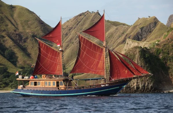 THE ULTIMATE SEA SAFARI