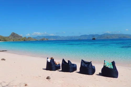Tiger.Blue.Beach.Relax.jpg
