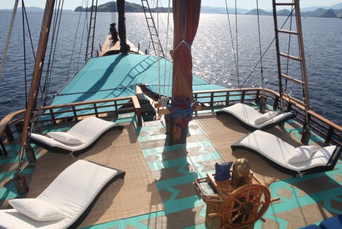 Tiger.Blue.Sundeck2.jpeg