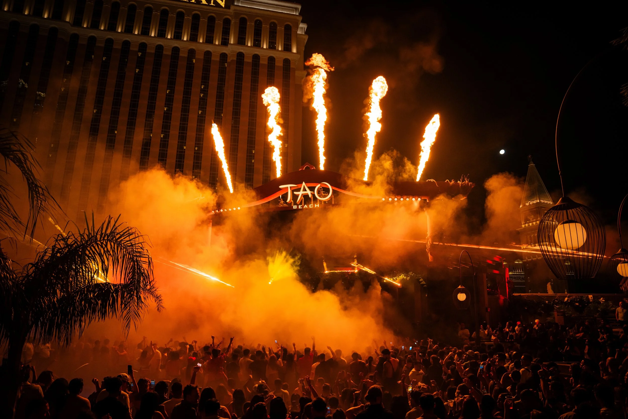 240914_TBDC_Pauly D-36.jpeg