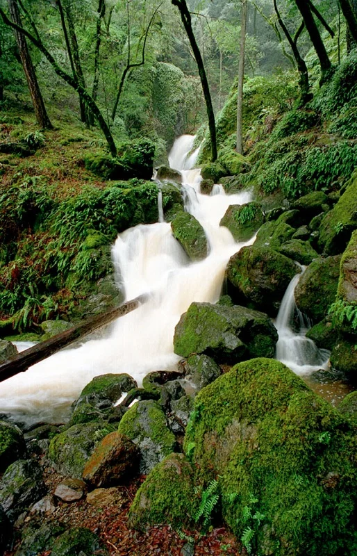 Cataract Falls, Mt. Tamalpais, CA