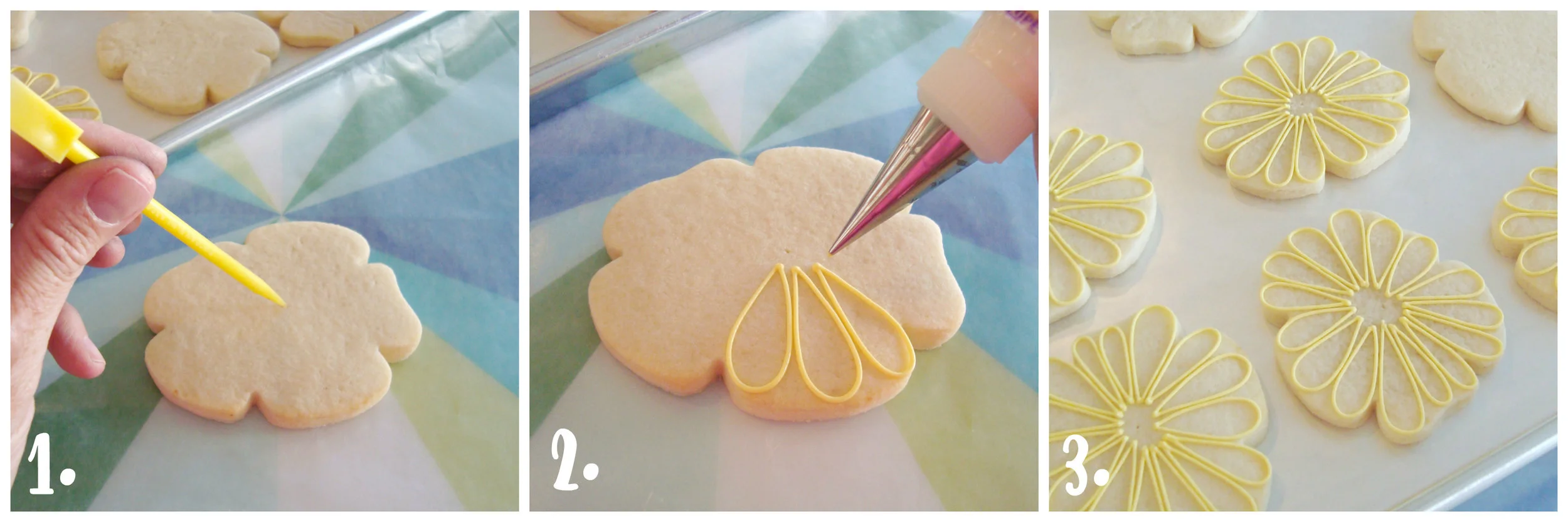 blyss daisies 2.jpg