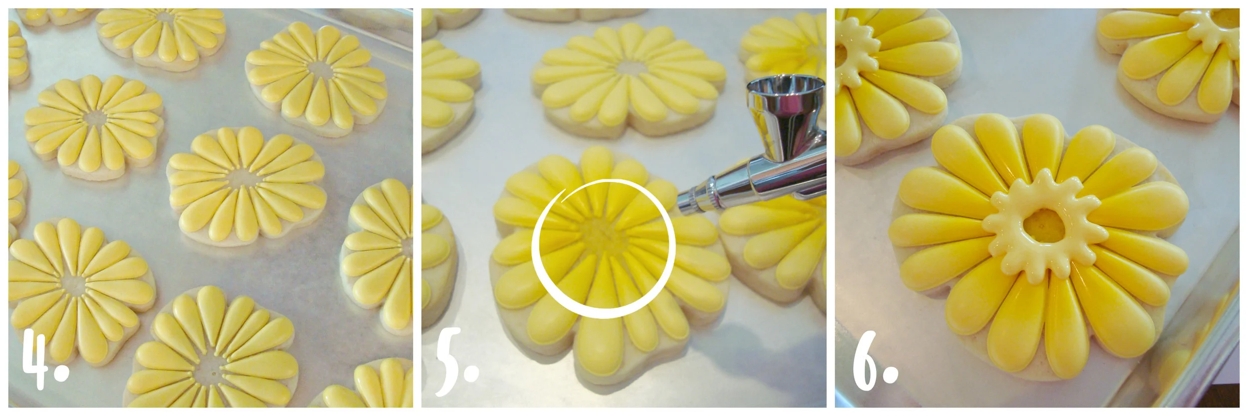 blyss daisies 3.jpg