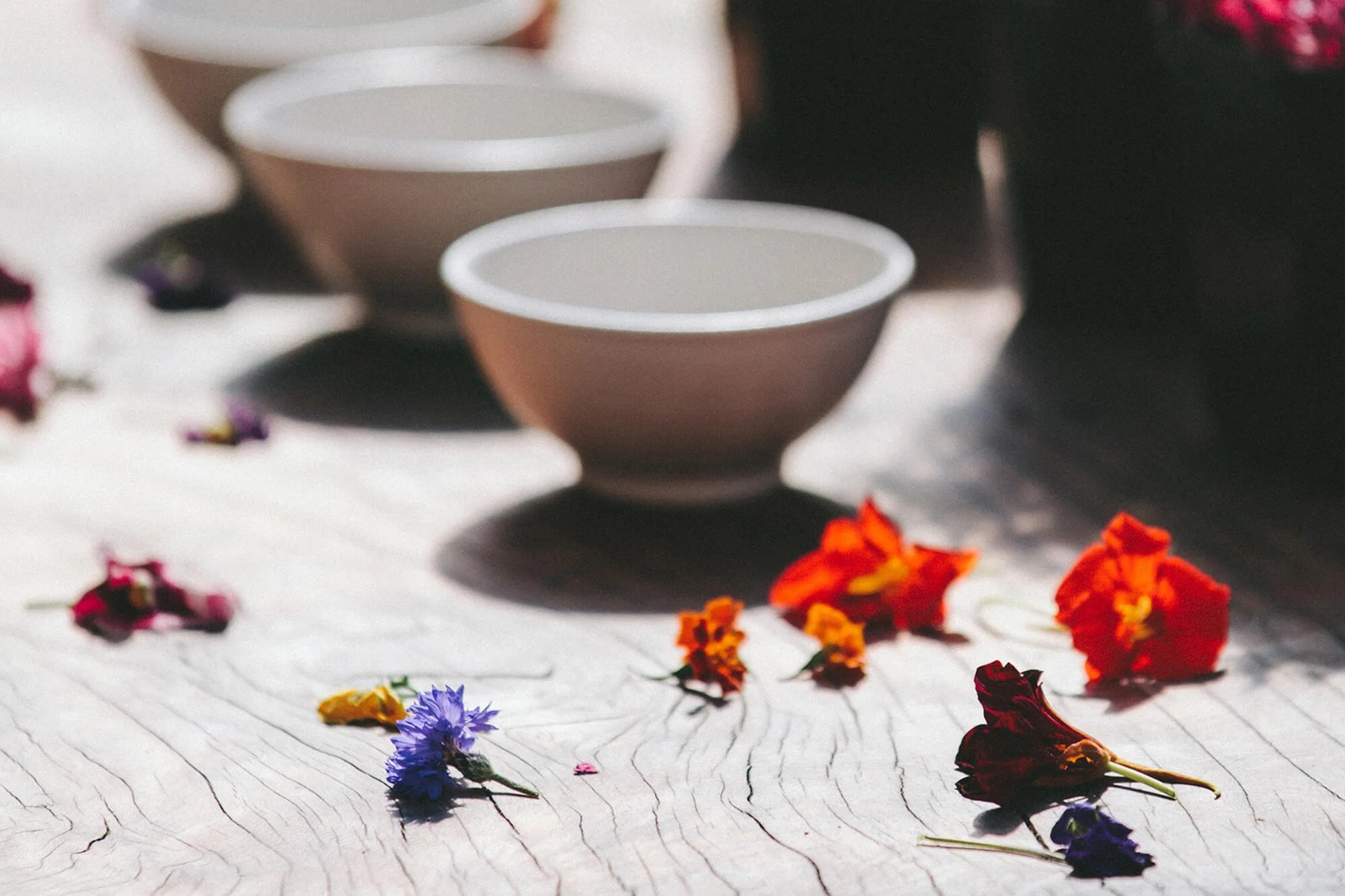 Eagle Acupuncture Idaho's Best Wellness Experts