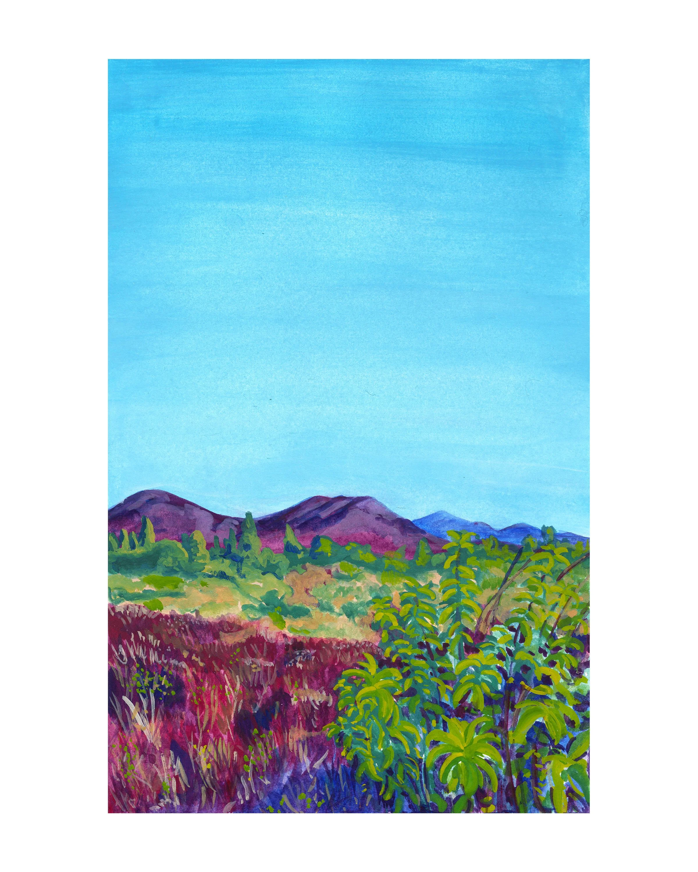 Lake Hodges 8x10.jpg