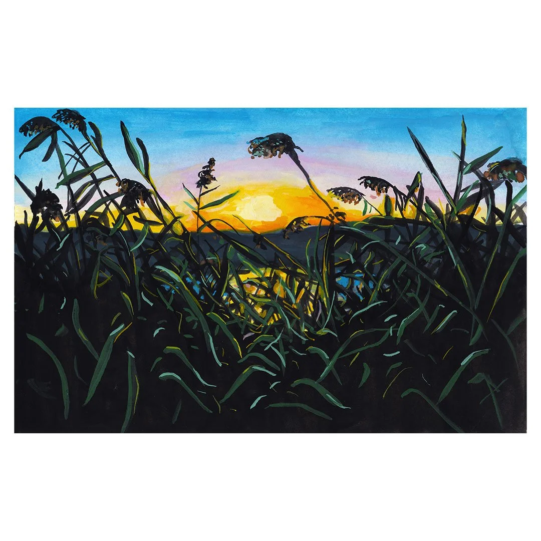 Sunrise Over the Reeds