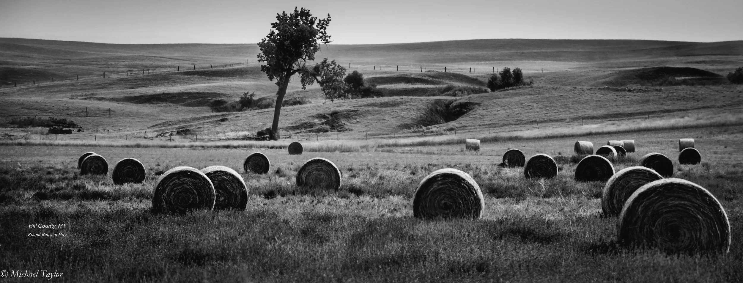 Hill County, MT--Round Bales of Hay