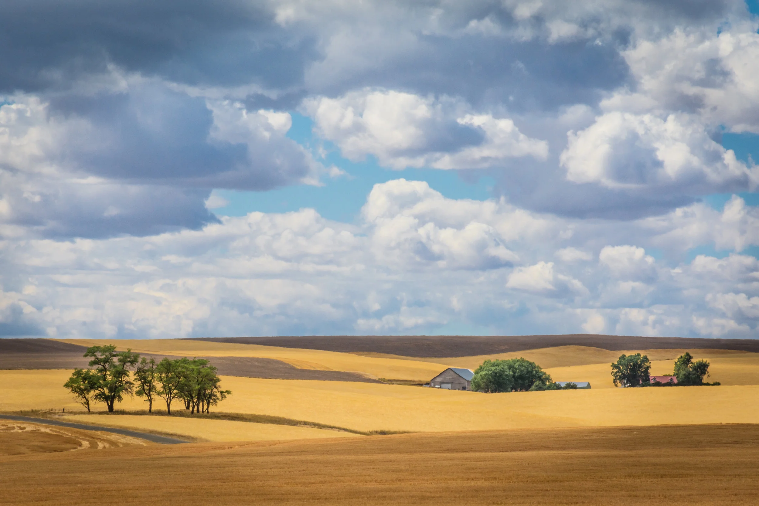 Farm on the Palouse.jpg