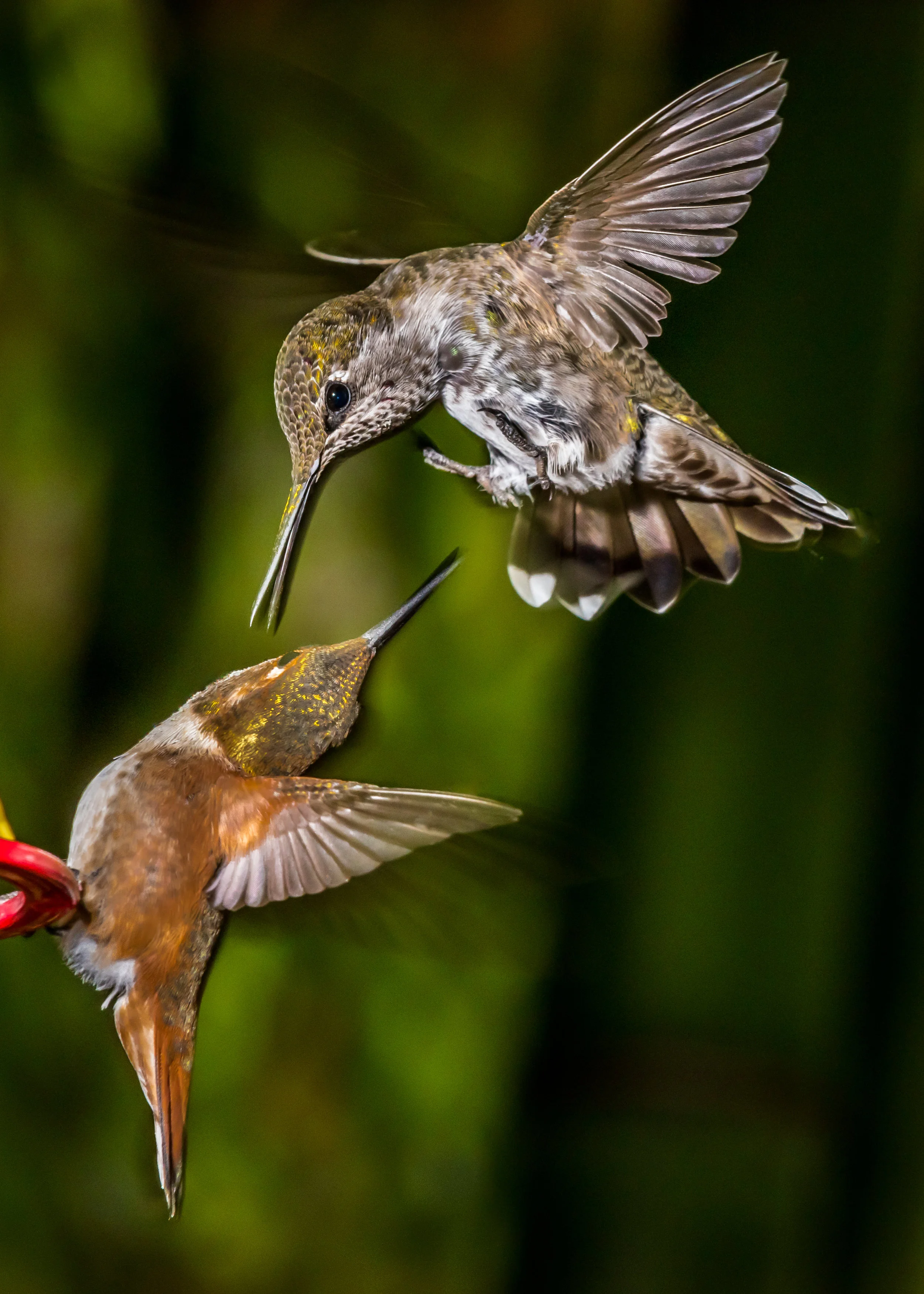 Nature-21.jpg