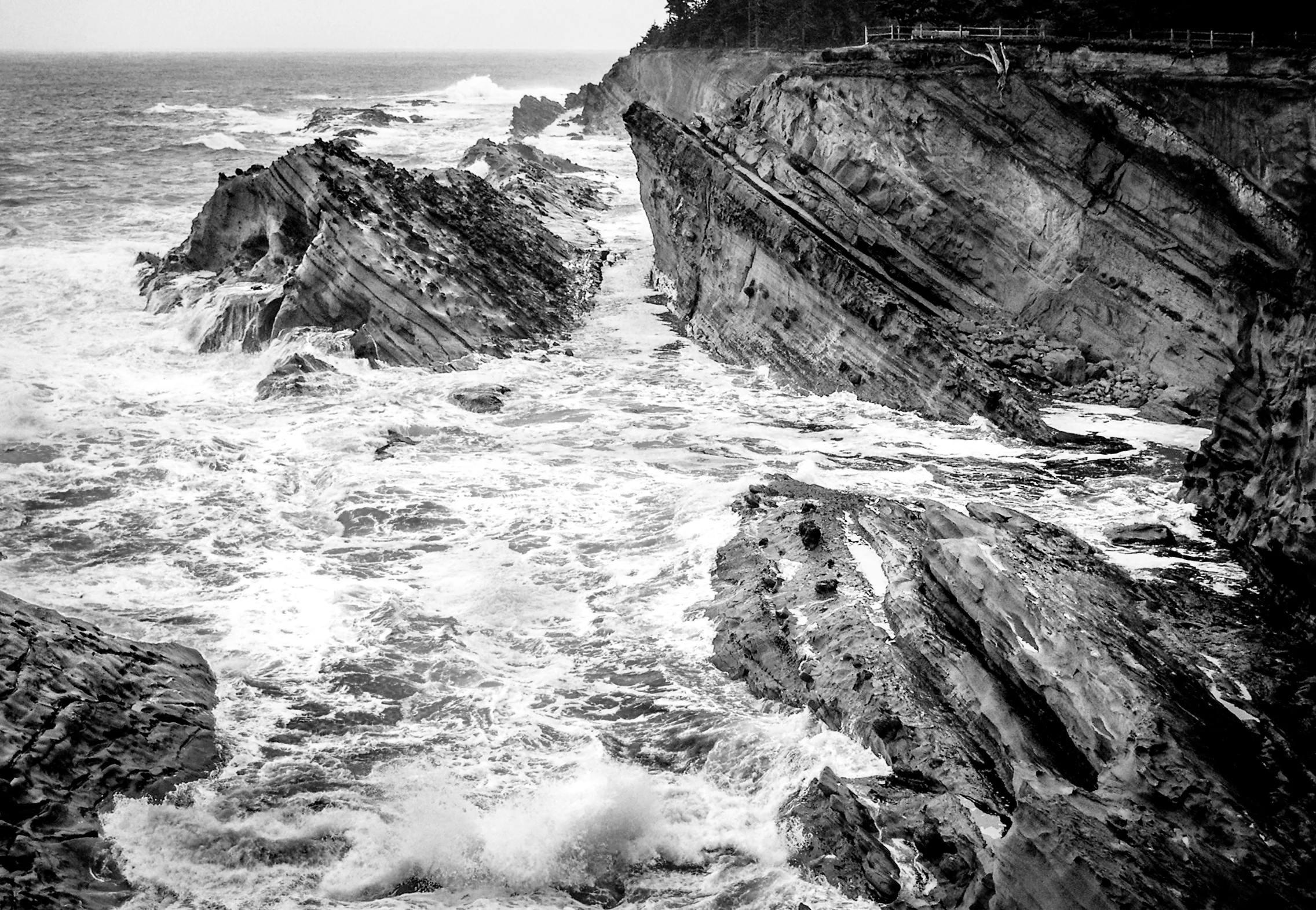 Oregon Coast.jpg