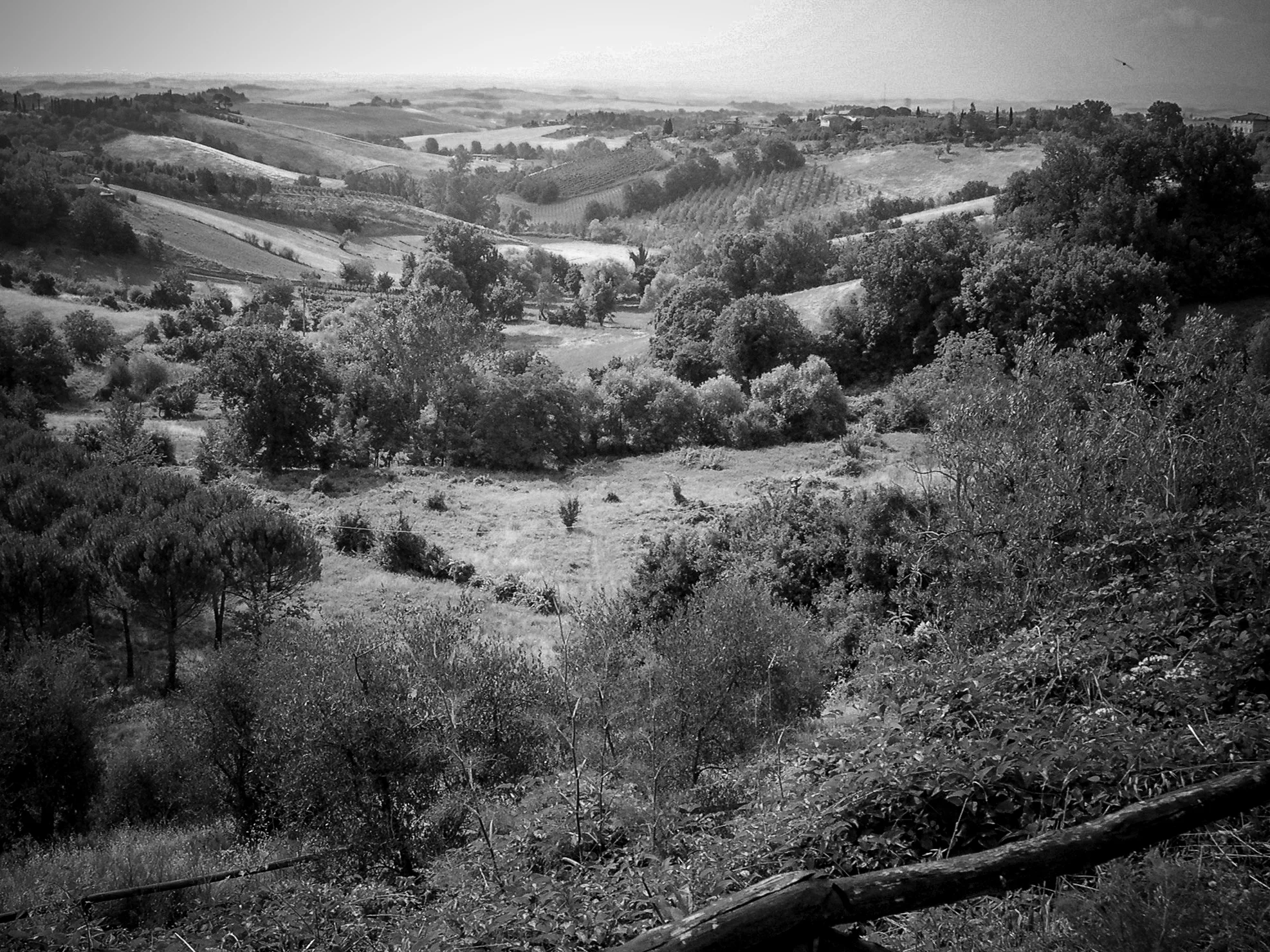 Tuscany, Italy.jpg