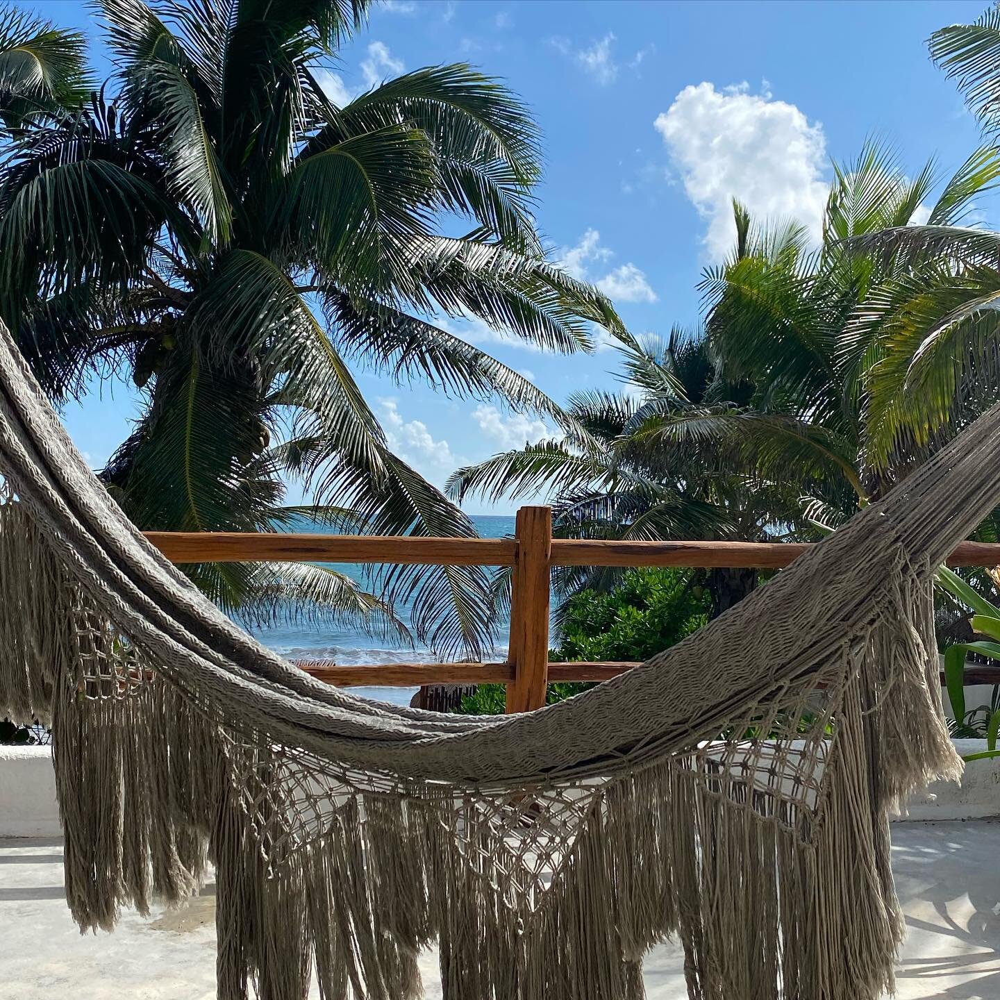 We love rooms with a view. ✨❤️✨
.
.
.
#bedroomviews #tulum #tulummexico #tulumbeach #casacarolina #casacarolinatulum #beautiful #beautifulbeach #vacation #villa #beachvilla #tulumvilla