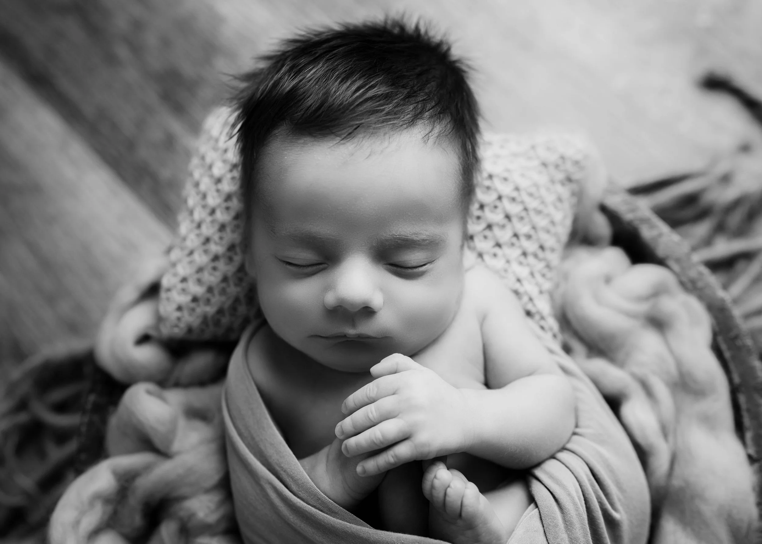 zachary (15 of 43).jpg