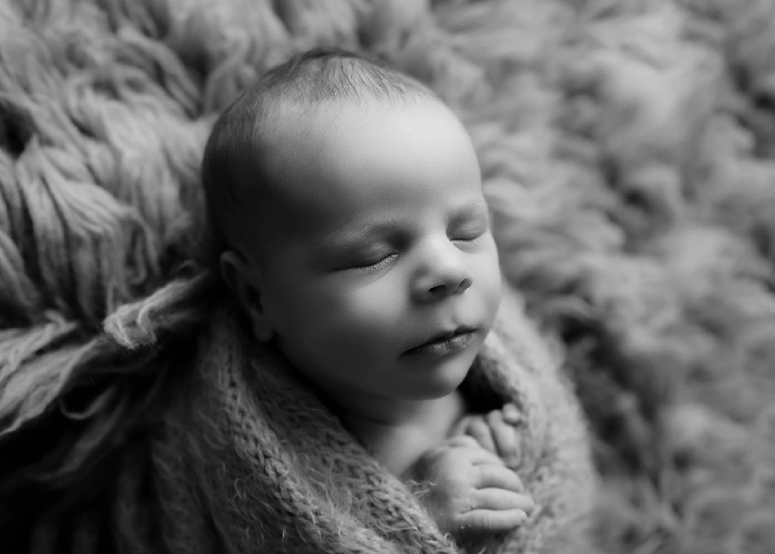 rhett-057.jpg