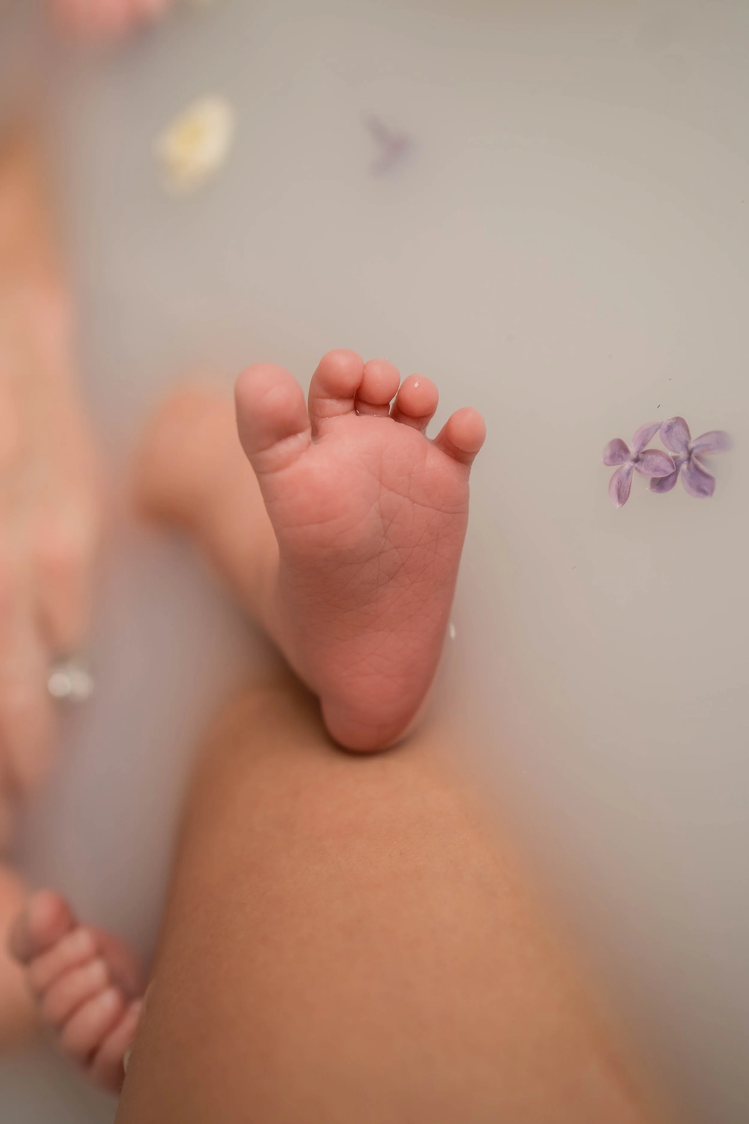 Savannah-milkbath-032.jpg