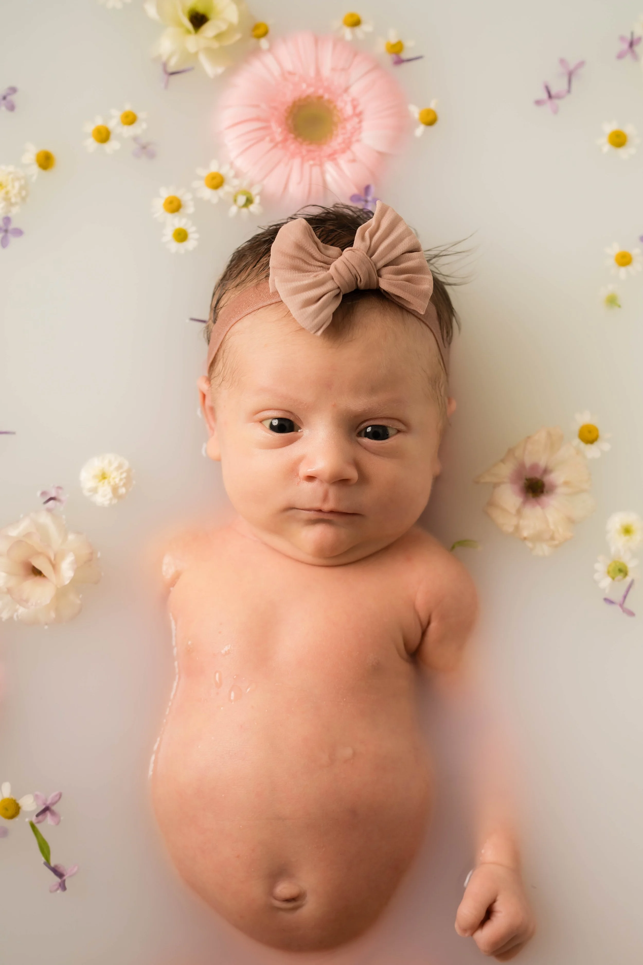 Savannah-milkbath-039.jpg