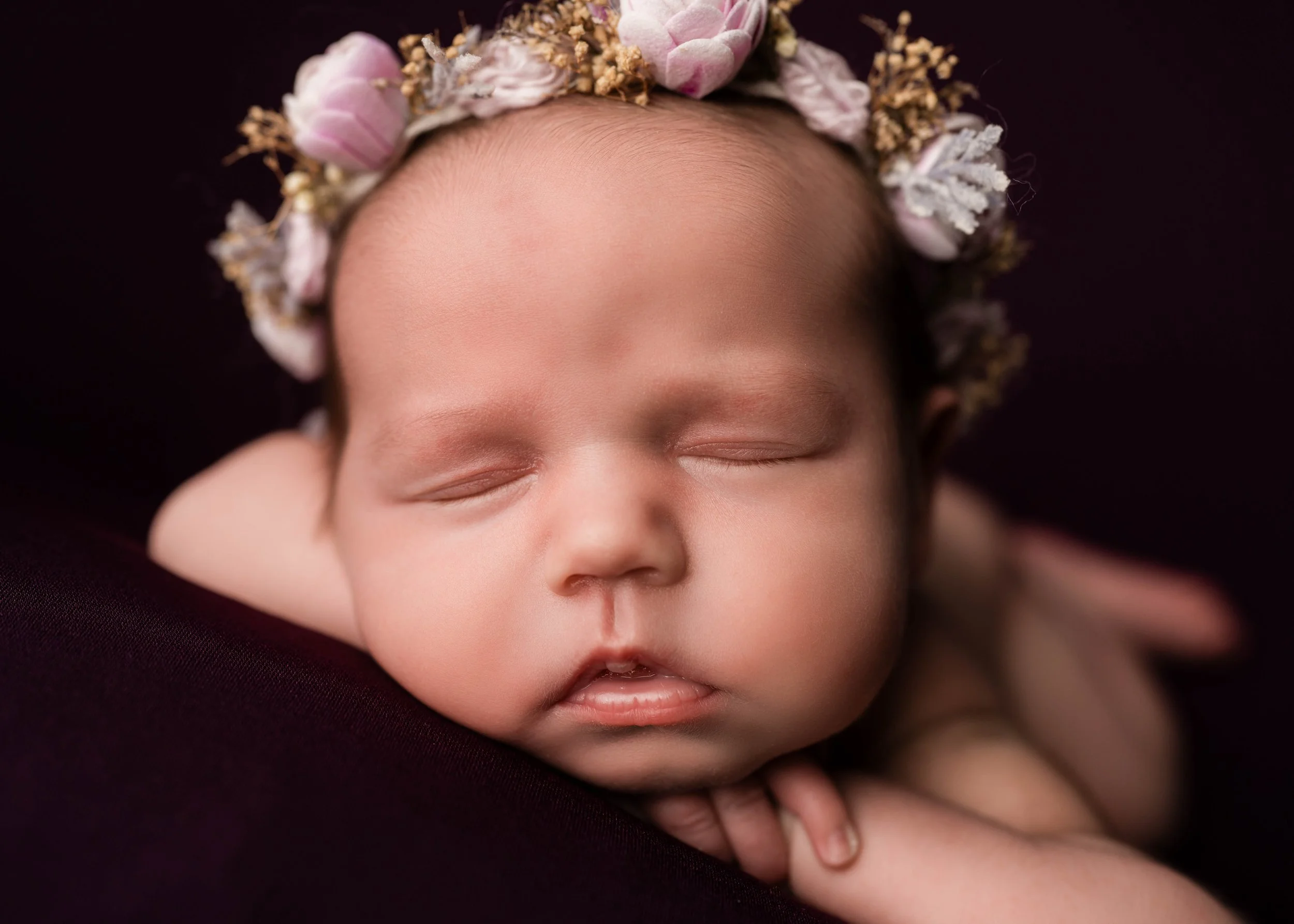 Kinsey (3 of 334).jpg