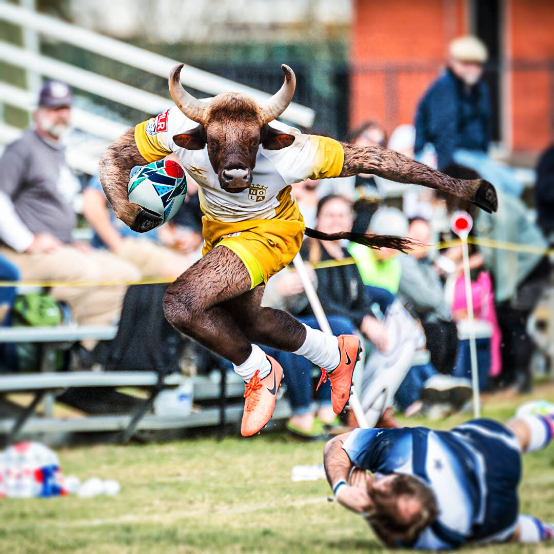 RUGBY BULL IG copy.jpg