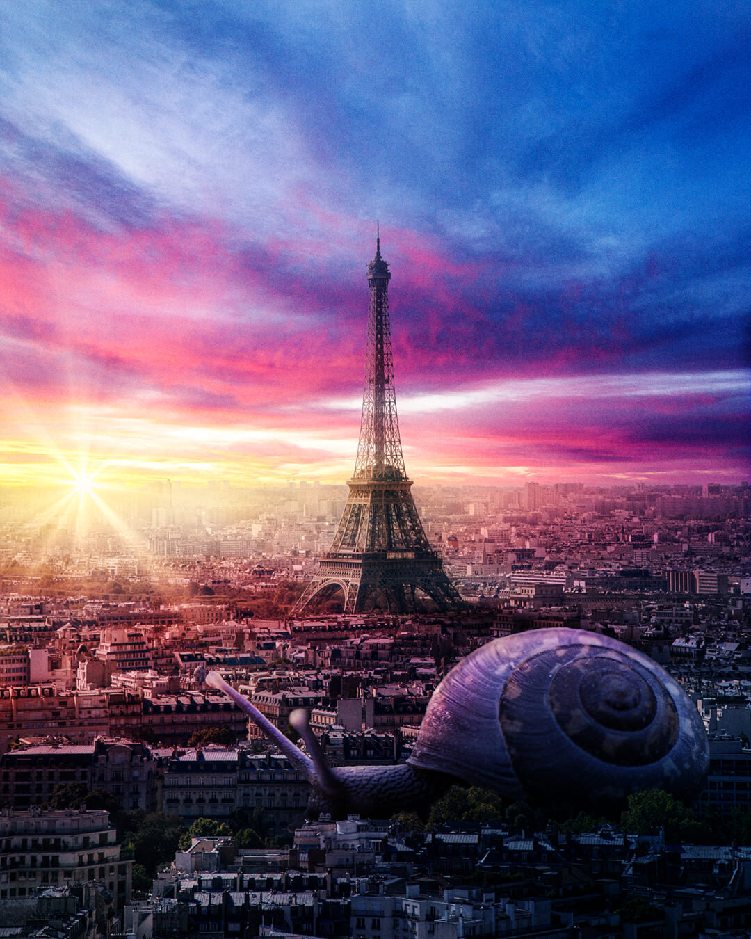 PARIS_SNAIL_IG.jpg