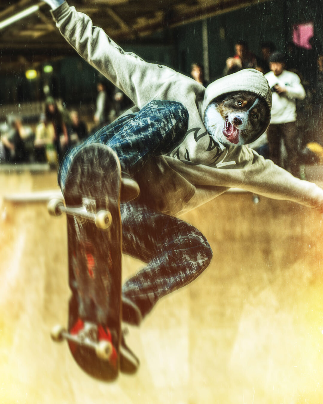 DOGSK8_IG.jpg