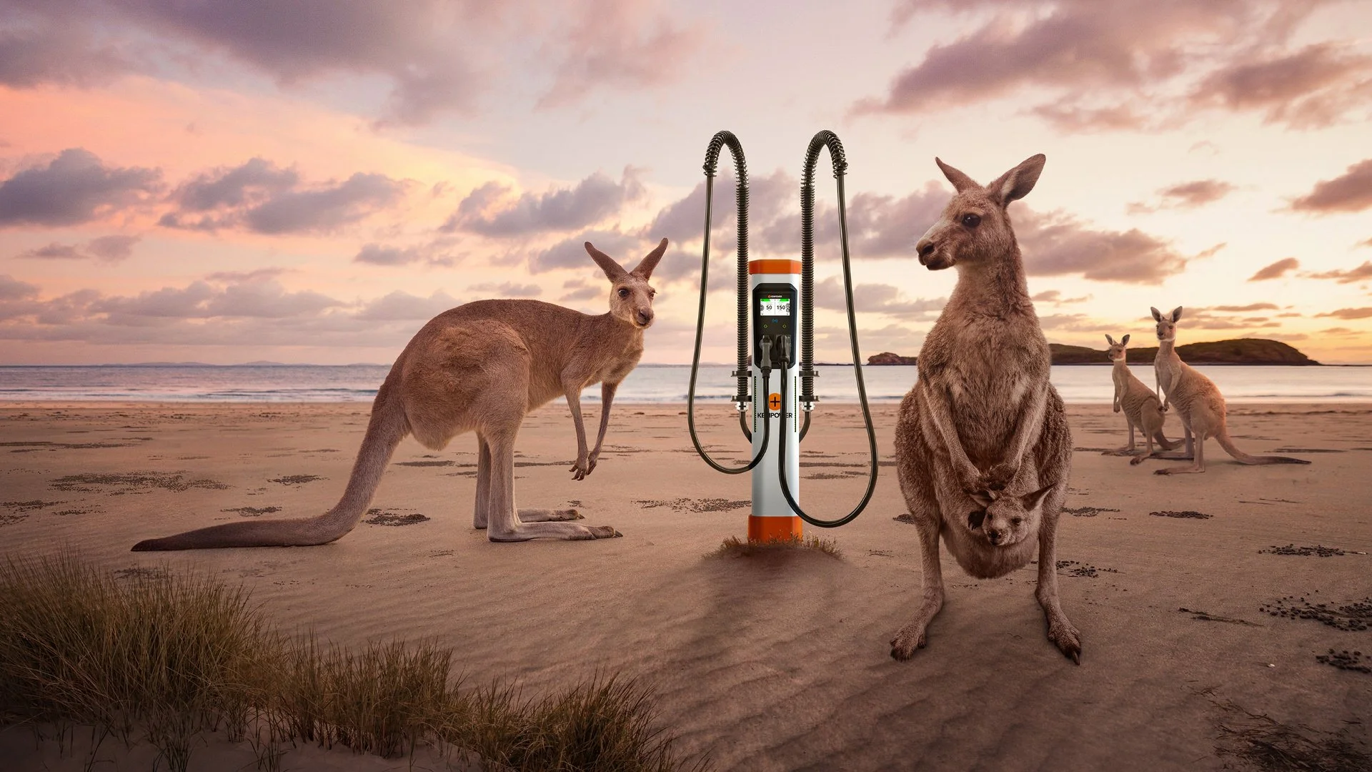 Australia.jpg
