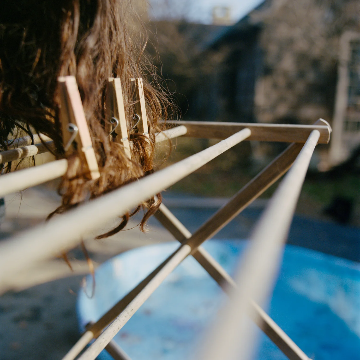   NANCY GRACE HORTON  PINNED DOWN, 2012  ARCHIVAL PIGMENT PRINT  