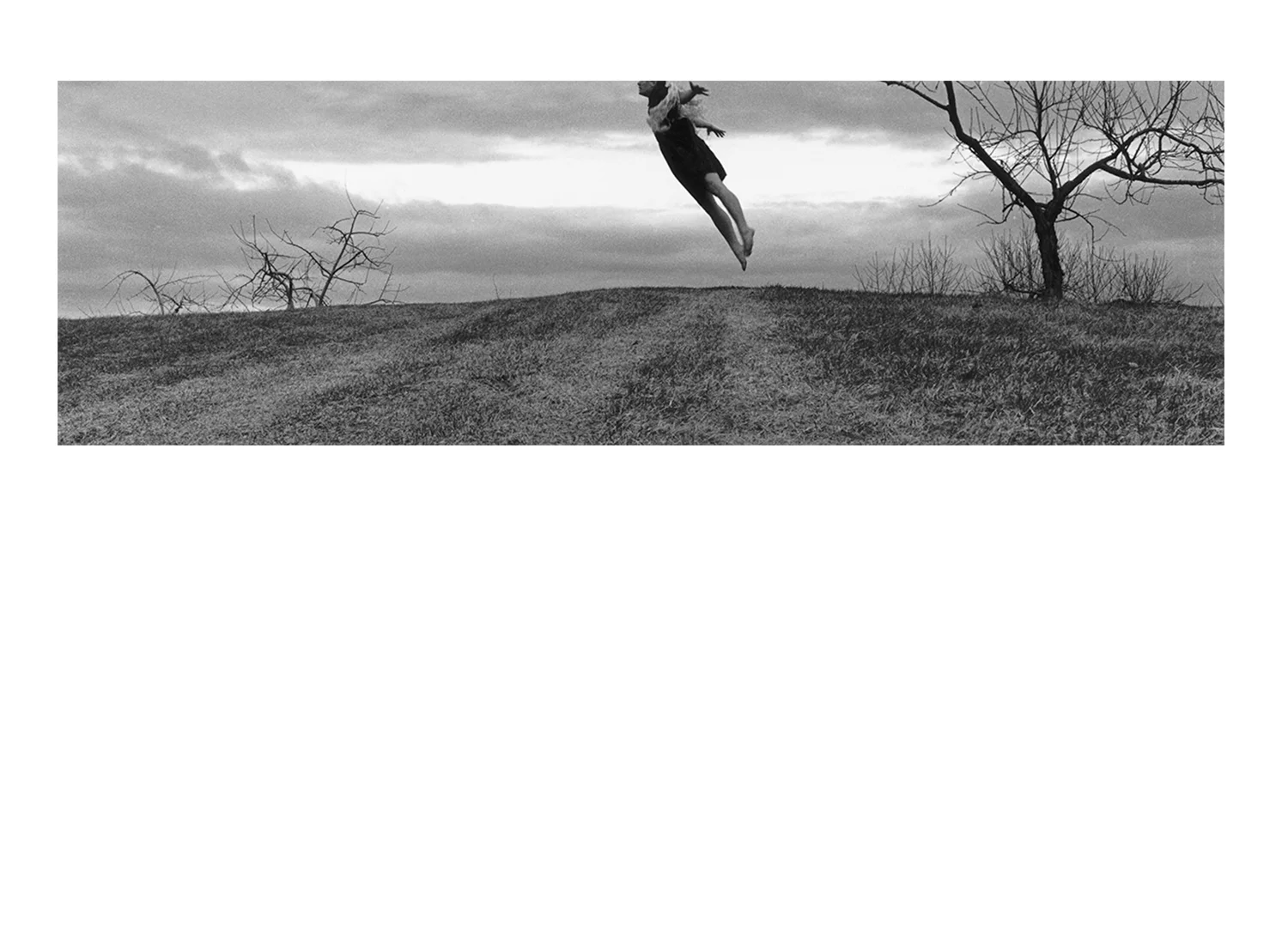 ANNE ARDEN MCDONALD - 1998