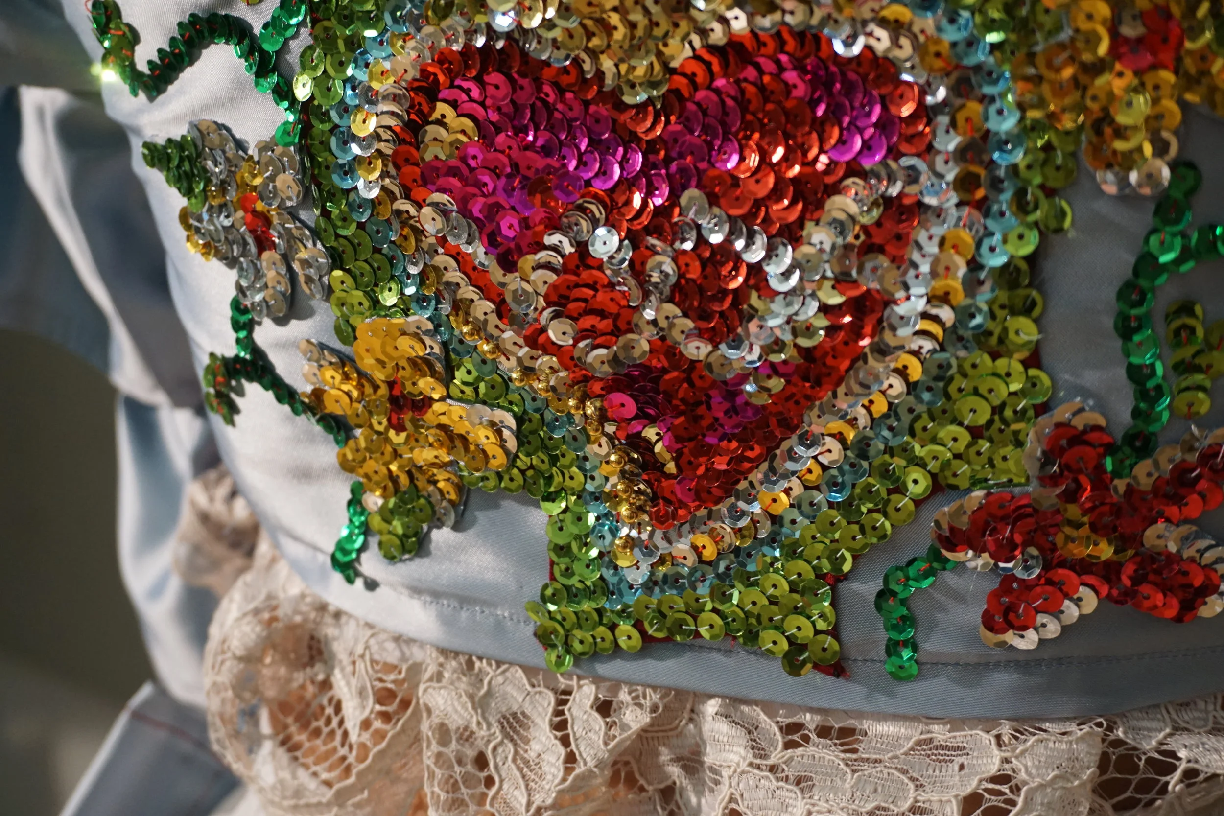 detail. sequins and lace