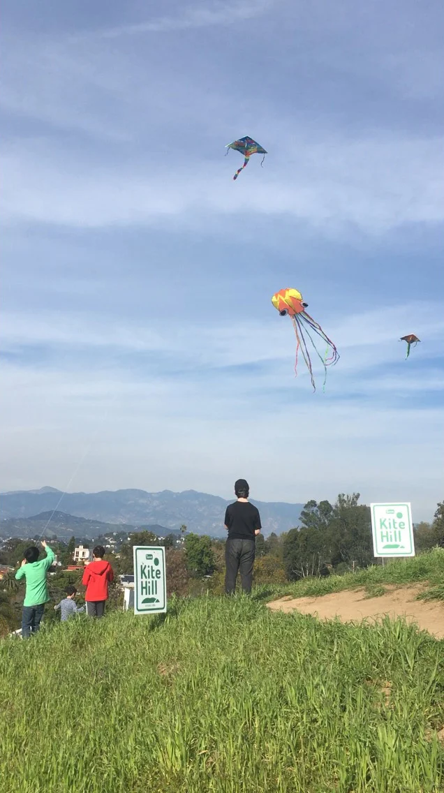fliying-kites.jpg