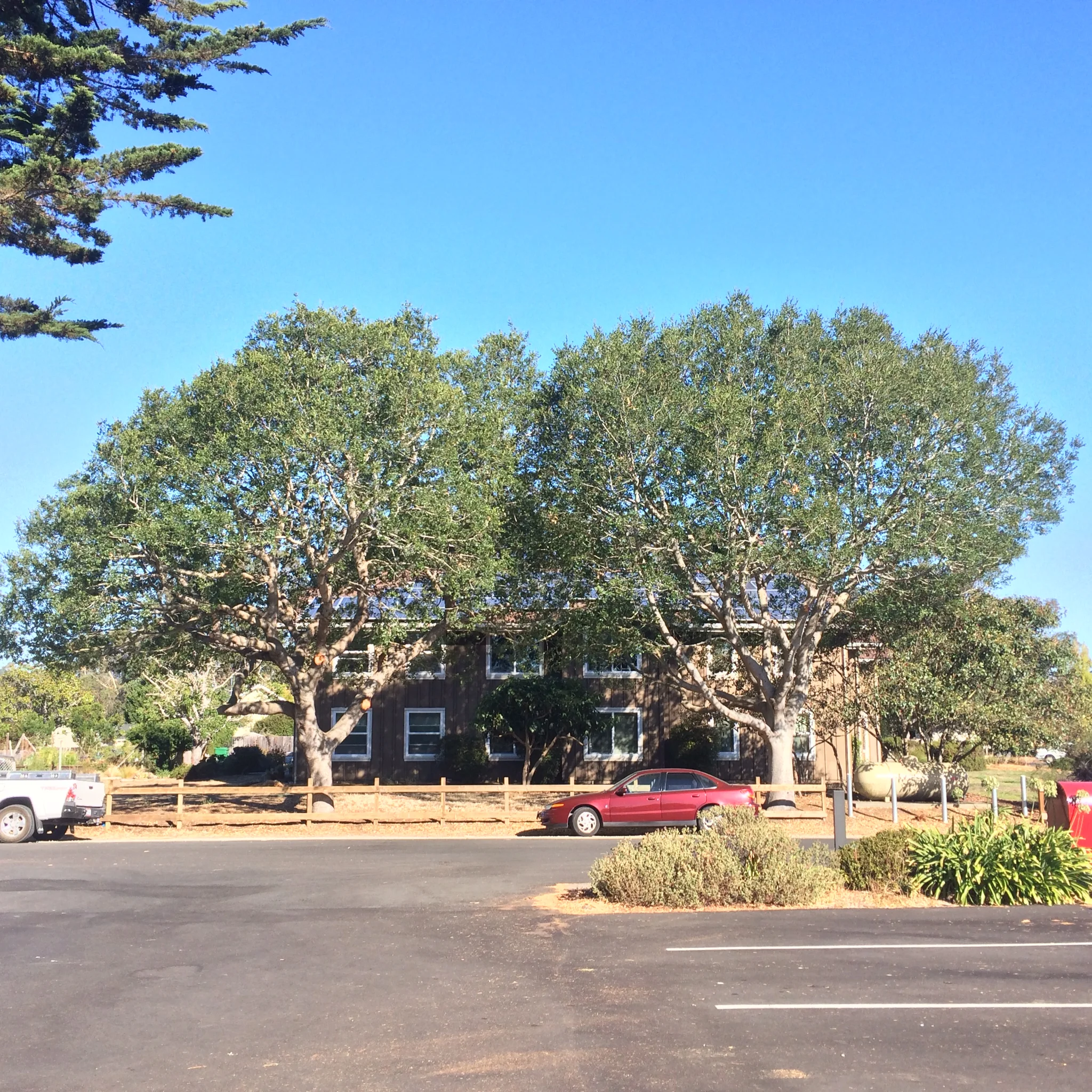 Services — URBAN FORESTRY ASSOCIATES, INC