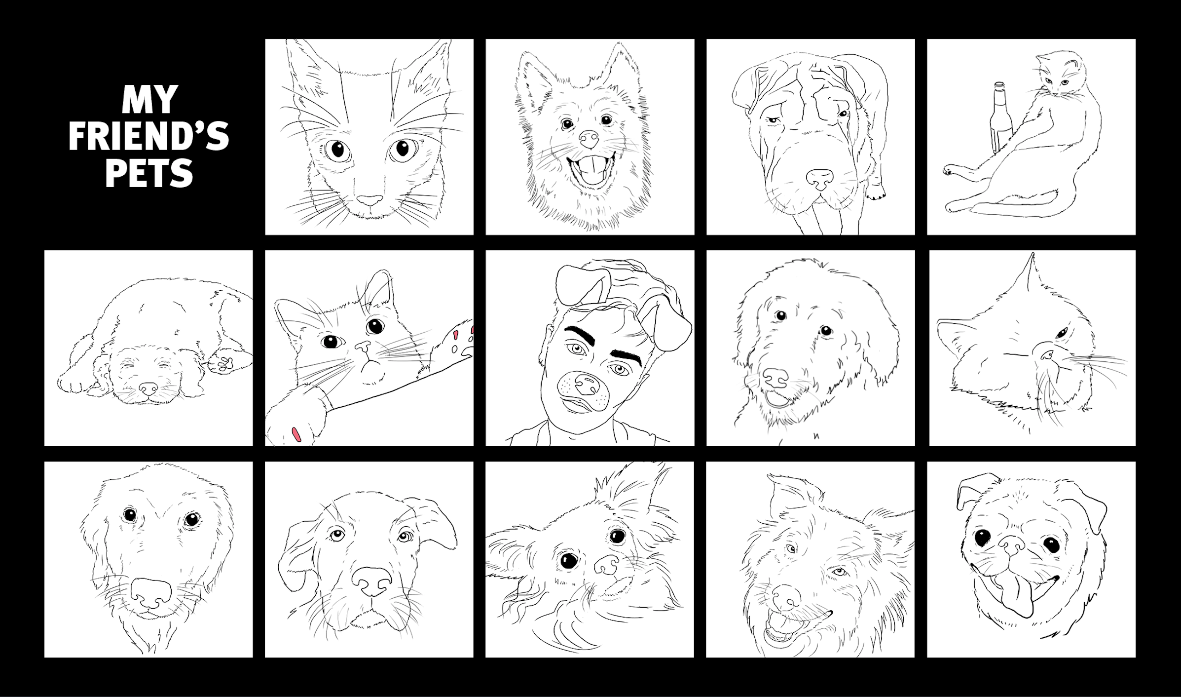 Screen Shot 2019-02-16 at 2.58.45 PM.png