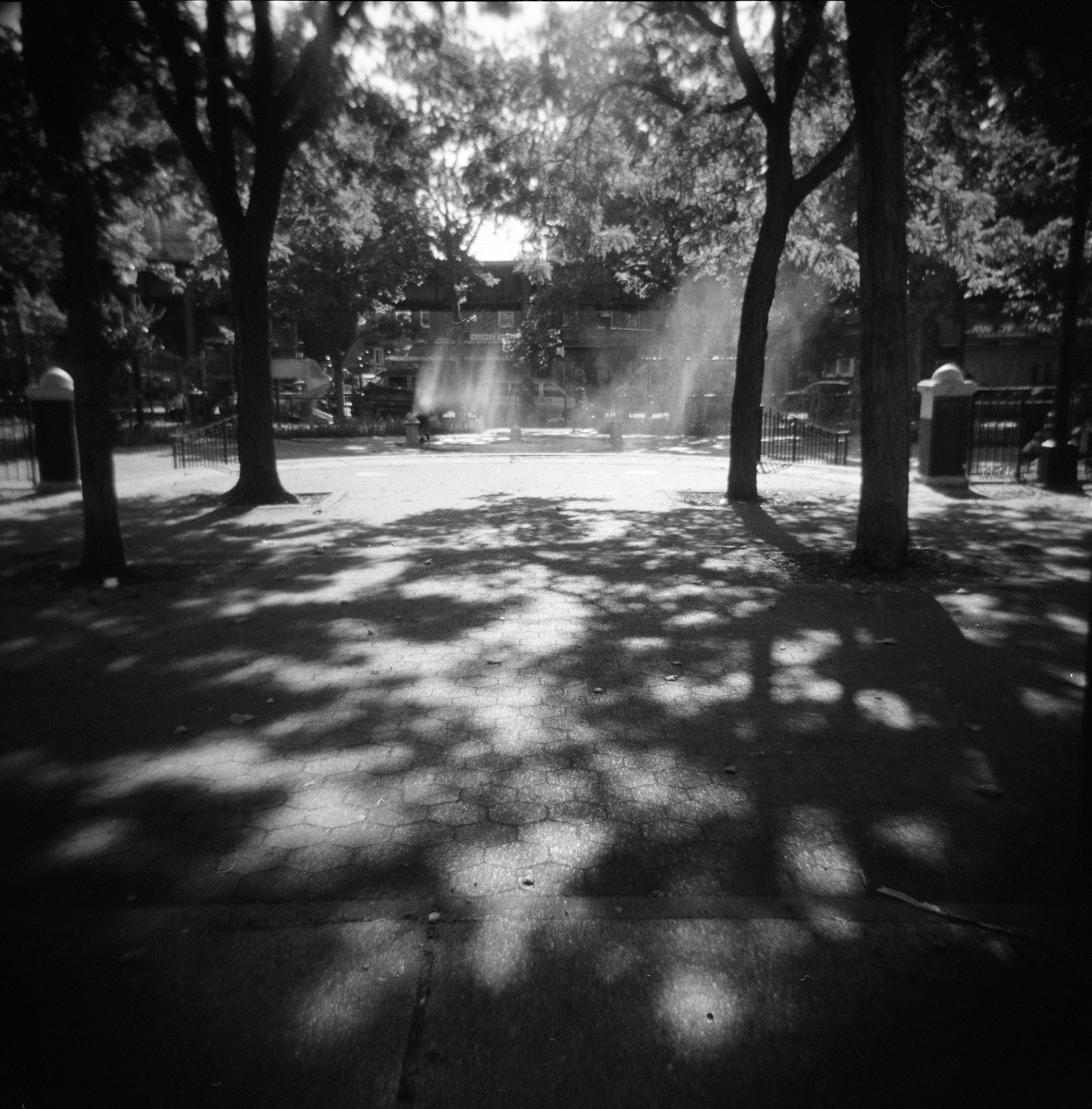 Nina Lat image 1.jpg