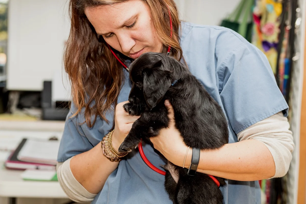 20181018-VET+NIGHT-002.jpg