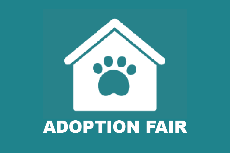 Adoption Fair