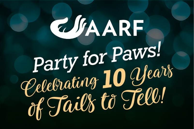 10th Annual Party 4 Paws Gala