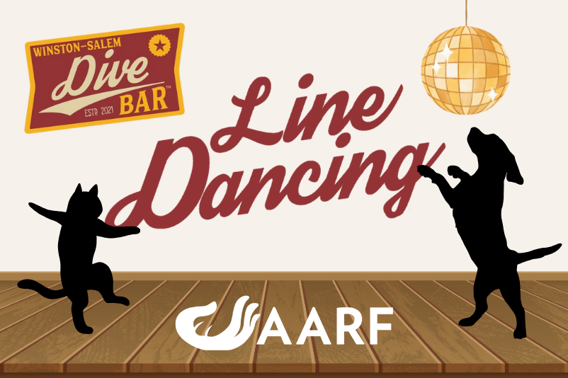 Line Dancing at Dive Bar