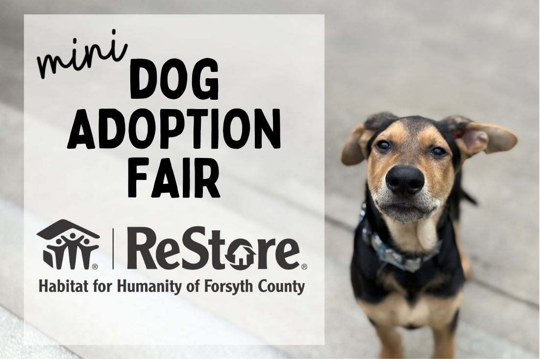 Mini Adoption Fair at Habitat ReStore