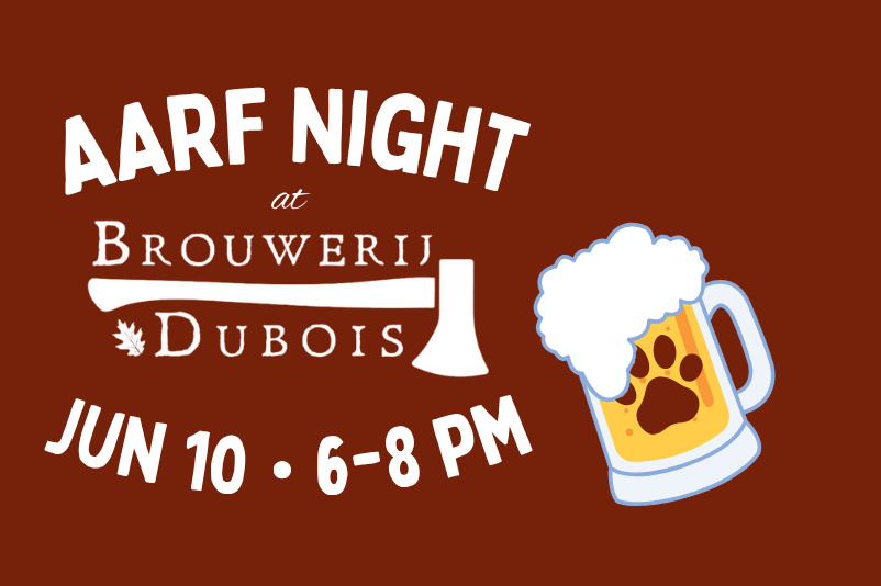 AARF Night at Brouwerij DuBois Taproom