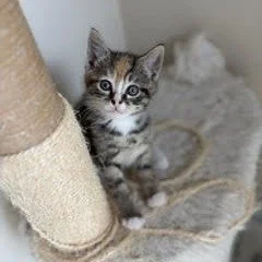 d373b8ae1cbdd35c206f56cd745edfa4.jpg