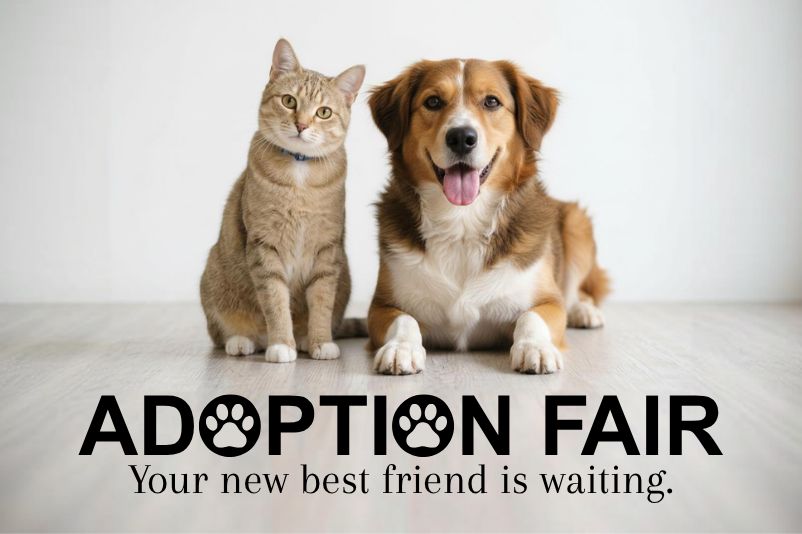 Adoption Fair