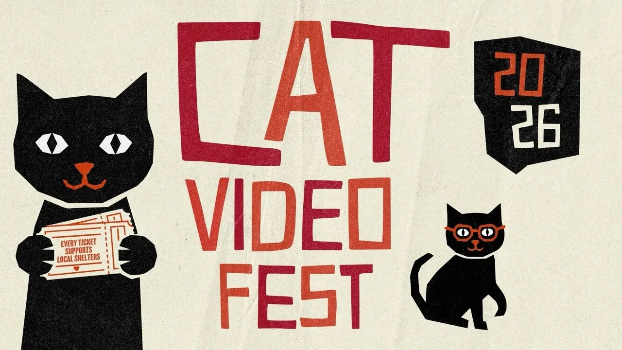 a/perture Cat Video Fest 2026 at Tanglewood