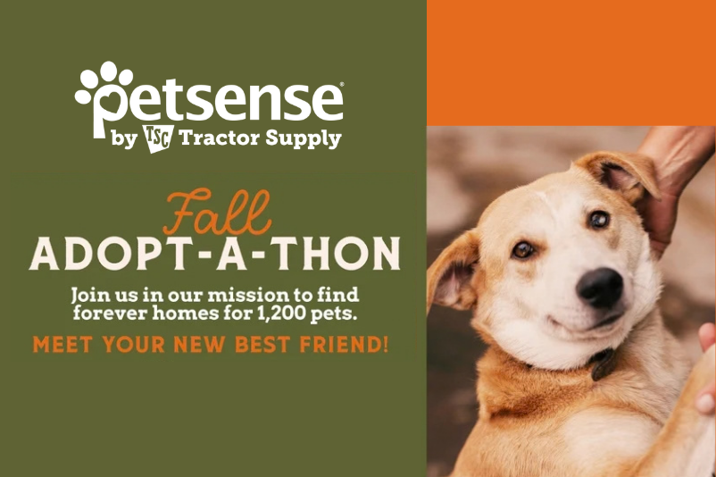 Fall Adopt-a-Thon at Petsense