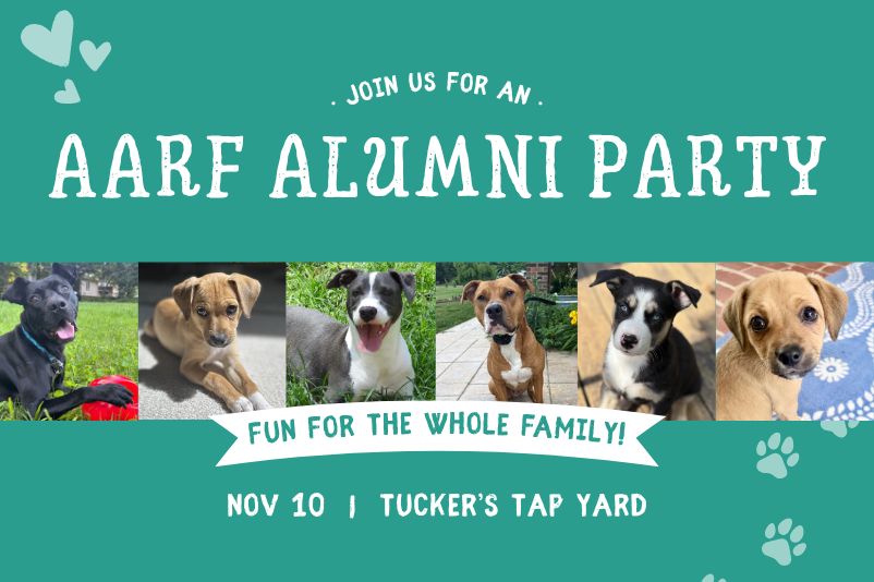 AARF Alumni Party at Tucker's Tap Yard