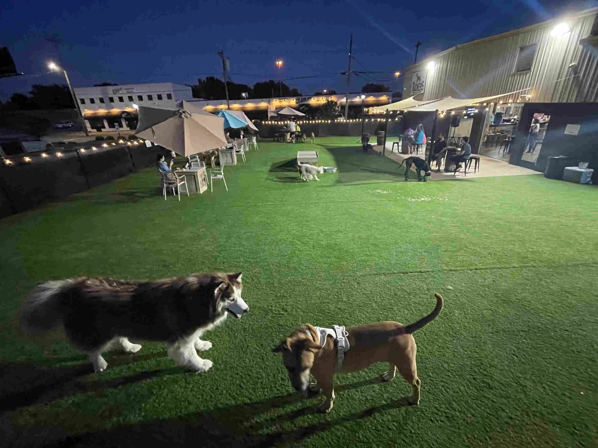 tuckers-tap-yard-outside-night-jpg.jpg