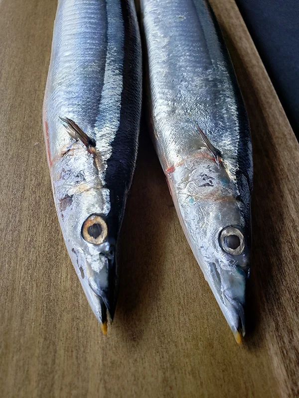 20180904_160133.jpg